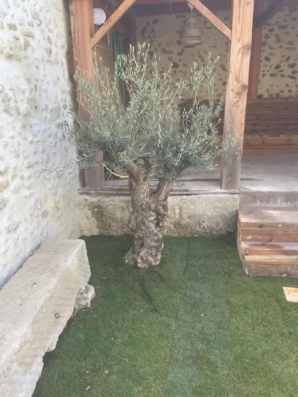 Villa Drome Provencale Maison Familiale Calme Dans Village Valreas